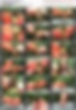 85460300_[14y]_rosmeri___inthewind1.mo.jpg